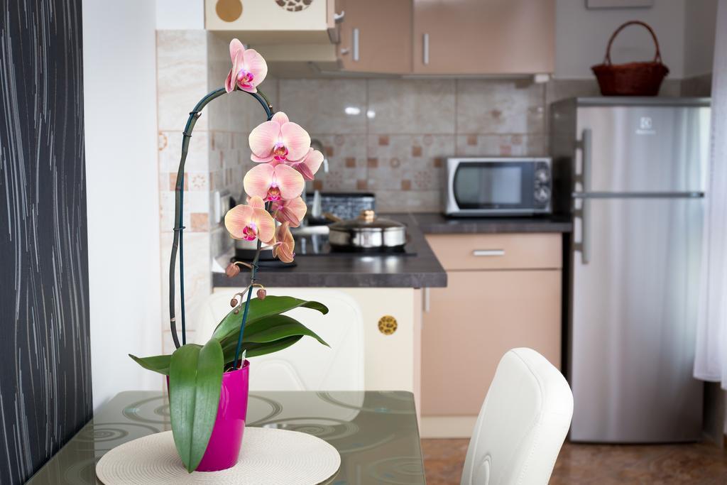 Best Apartments سيغيد المظهر الخارجي الصورة